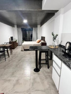 Monoambiente Barrio Sur